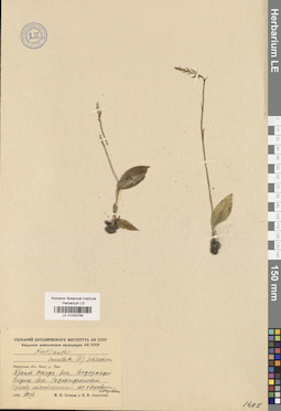 LE 01032789