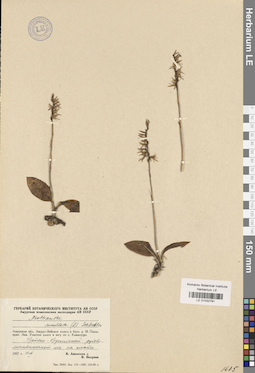 LE 01032791