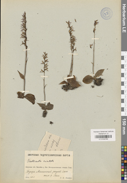 LE 01032793