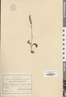LE 01032801