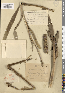 LE 01032812