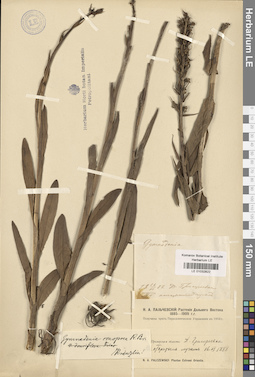 LE 01032822