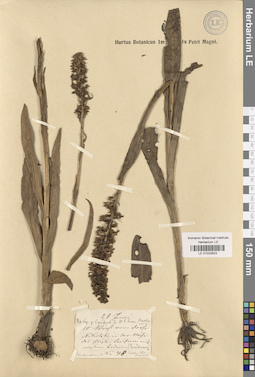 LE 01032823