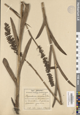 LE 01032836