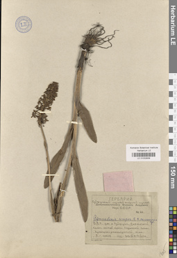 LE 01032839