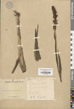 LE 01032840
