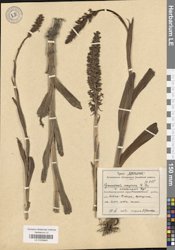 LE 01032843