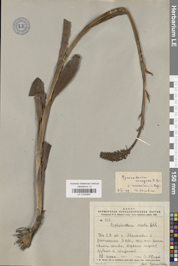 LE 01032847