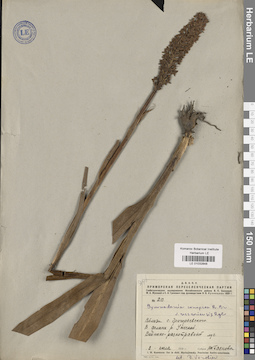 LE 01032848