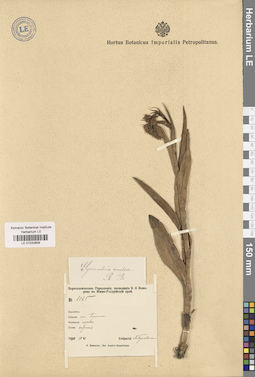 LE 01032858