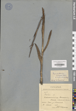 LE 01032870