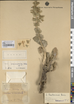 LE 01072970