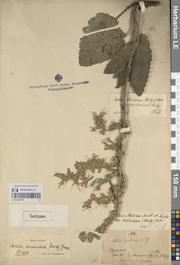 LE 01225770