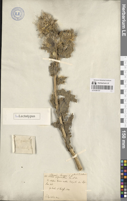 LE 01261727