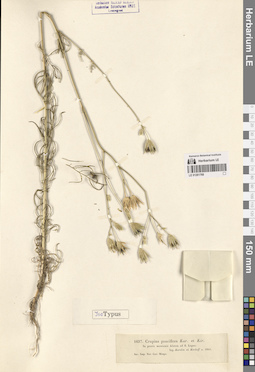 LE 01261768