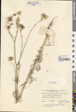 LE 01261770