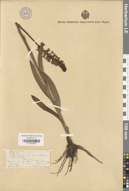 LE 01032875