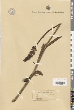 LE 01032878