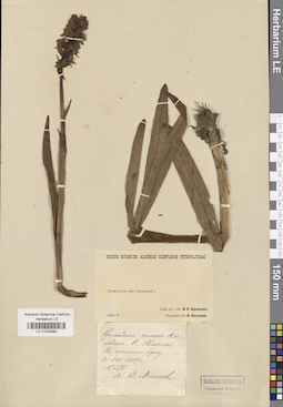 LE 01032880