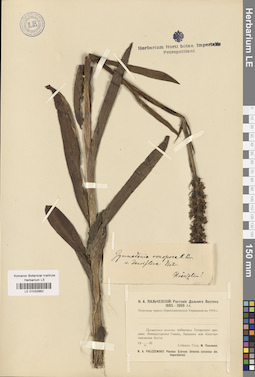 LE 01032882