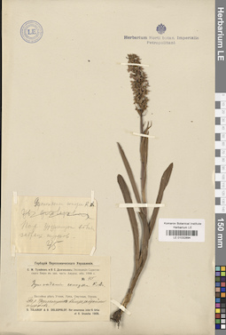 LE 01032894