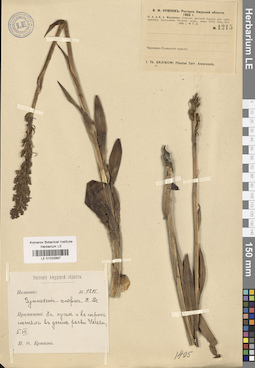 LE 01032897