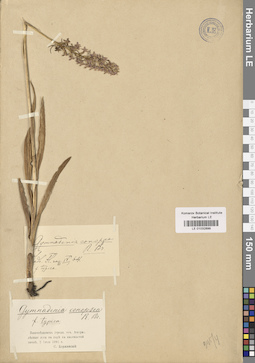 LE 01032899