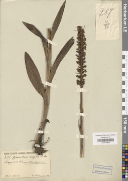 LE 01032901