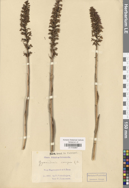 LE 01032907