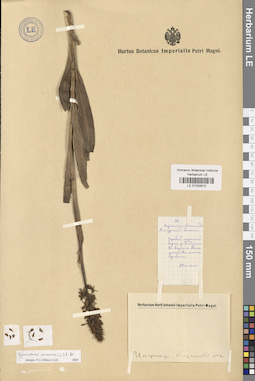 LE 01032910