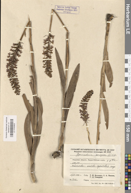 LE 01032922