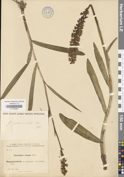 LE 01032941
