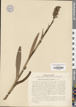 LE 01032947