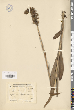 LE 01032948