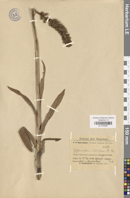 LE 01032957