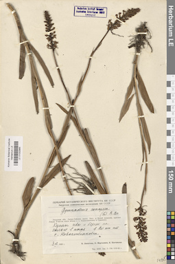 LE 01032965