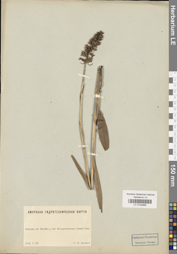 LE 01032969