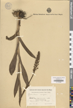 LE 01032988