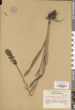 LE 01032989