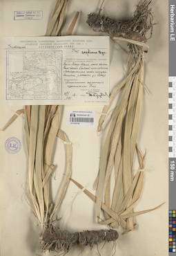 LE 01263169
