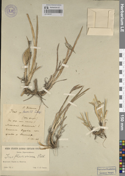 LE 01263197