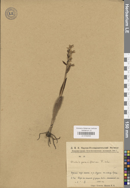 LE 01032433