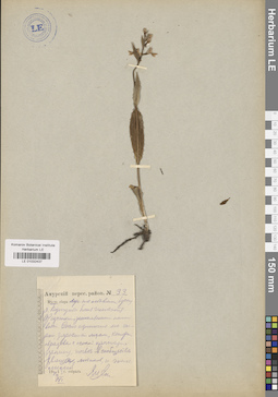 LE 01032437