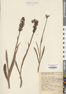 LE 01033028
