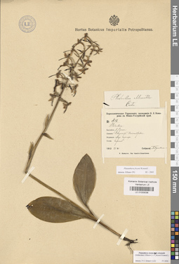 LE 01033038