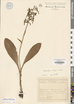 LE 01033039