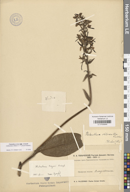 LE 01033045