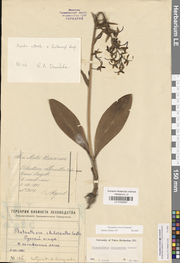 LE 01033047