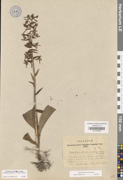 LE 01033049
