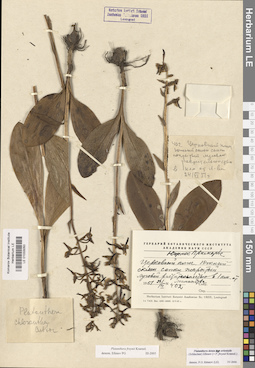 LE 01033050